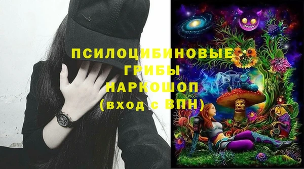 героин Алексин
